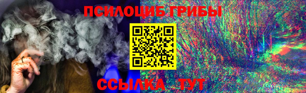 Галлюциногенные грибы Psilocybe Владикавказ